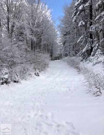Beskid Śląski, szlak z Bielska - Białej Wapienicy na Szyndzielnię zimą