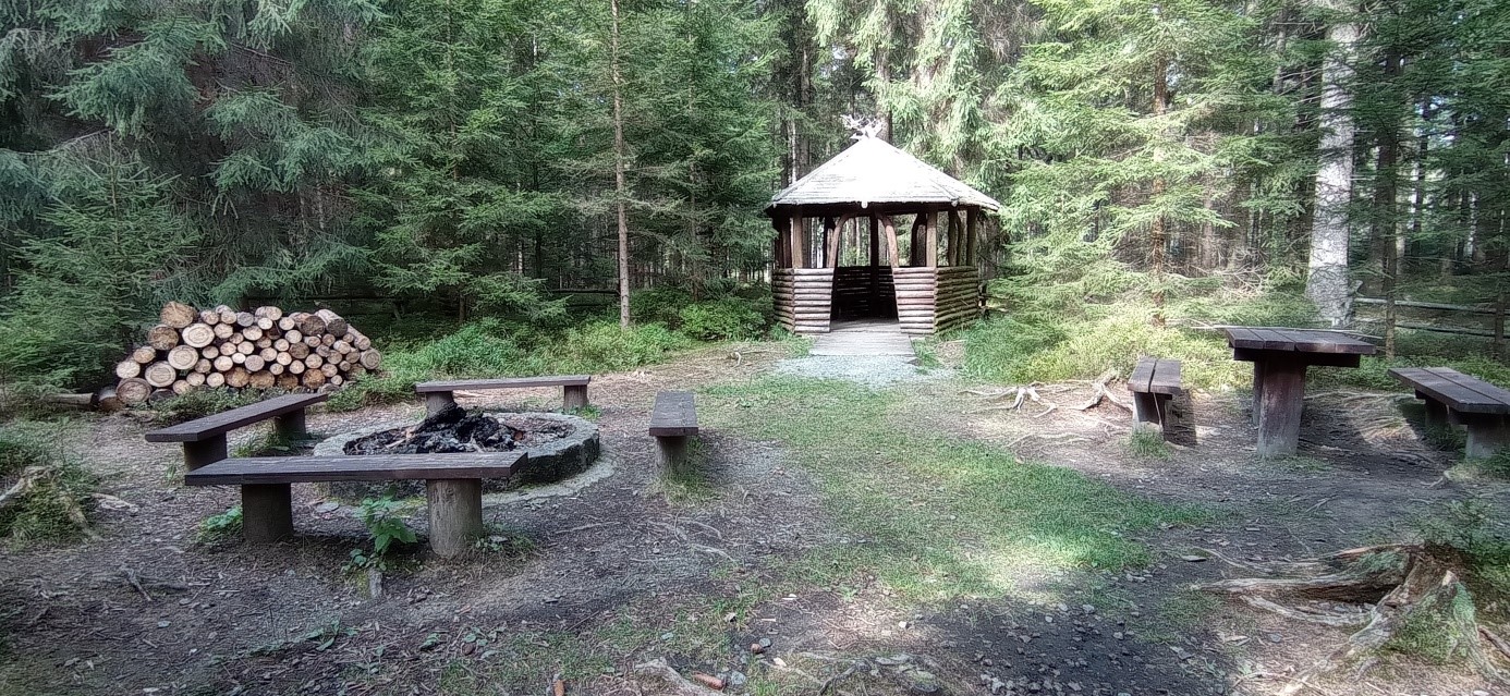Torfowisko miejsce na odpoczynek