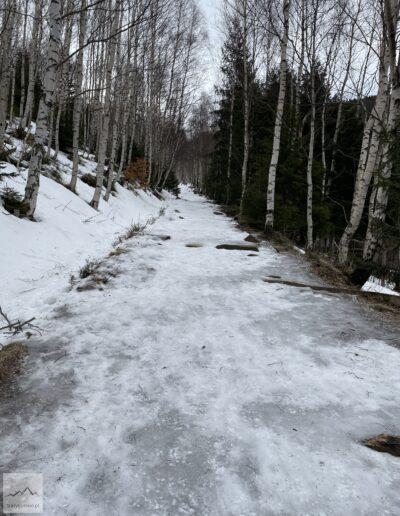 Początek szlaku na Śnieżkę od Sowiej Doliny