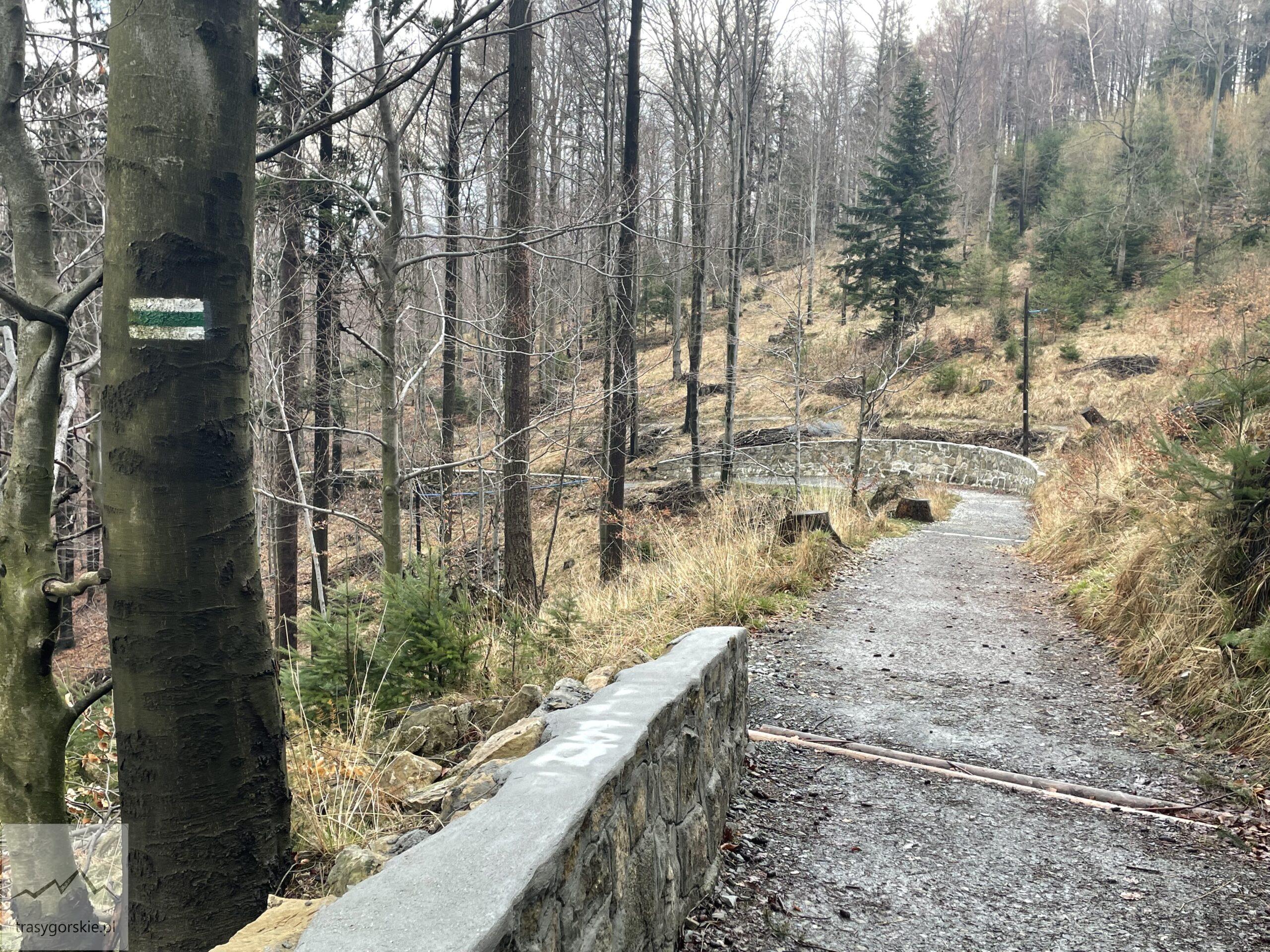 Kozia Góra Beskid Śląski - tor saneczkowy, szlak zielony