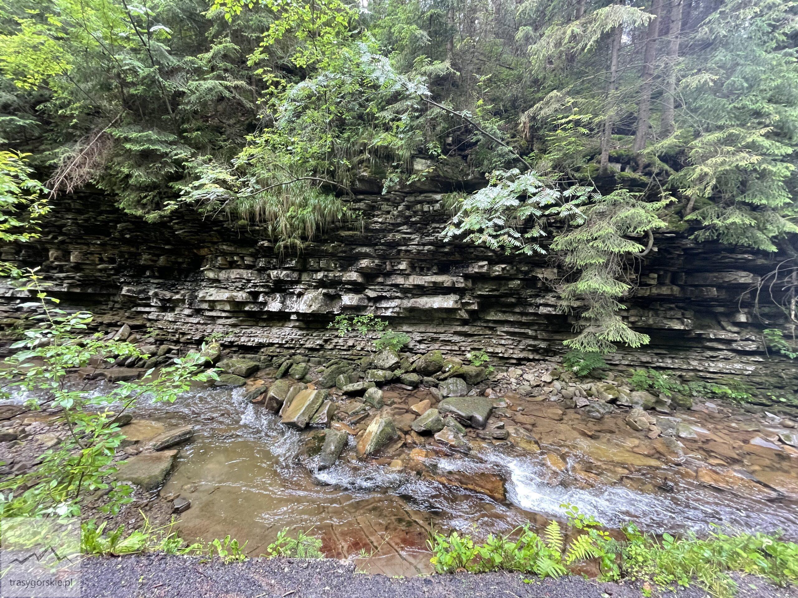 Potok Biała Wisełka - szlak na Baranią Górę z Wisły
