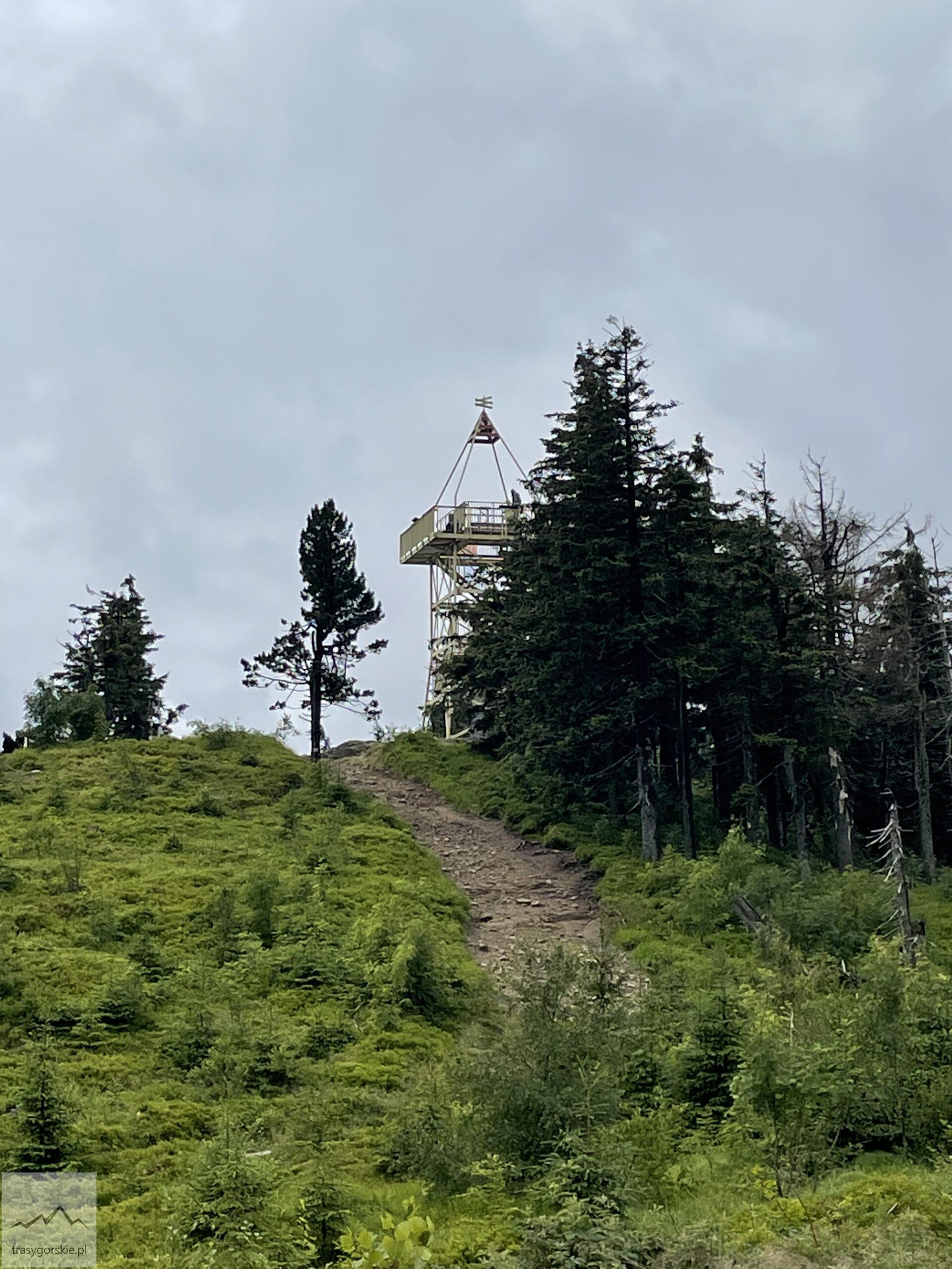 Wieża widokowa na Baraniej Górze w Beskidzie Śląskim