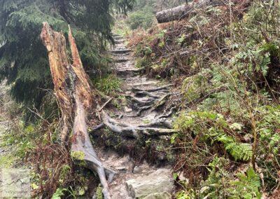 Beskid Żywiecki Babia Góra początek szlaku Percią Akademików