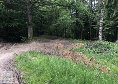 Beskid Mały, szlak na Czupel z Łodygowic