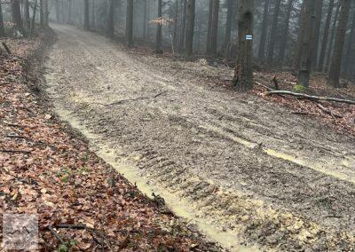 Beskid Niski, szlak na Suchą Homolę z Przełęczy nad Czarną (2)