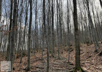 Beskid Śląski, początek szlaku na Równicę ze wsi Żarnowiec obok Górek Małych