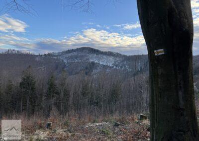 Beskid Śląski, szlak żółty na Równicę zimą (3)