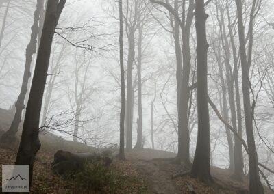 Beskid Niski, jedno z podejść na Cergową z Lubatowej