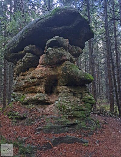 Góry Stołowe, Skalne Grzyby, skała