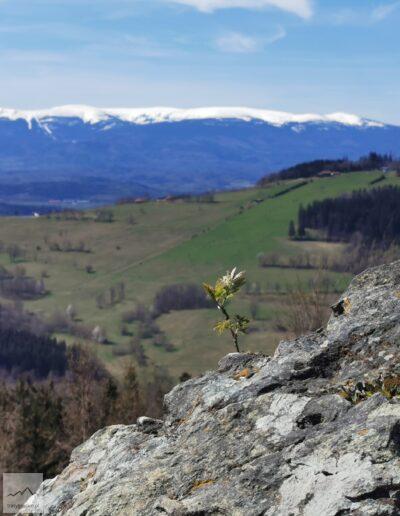 Góry Kaczawskie, panorama Karkonoszy ze szczytu Okole