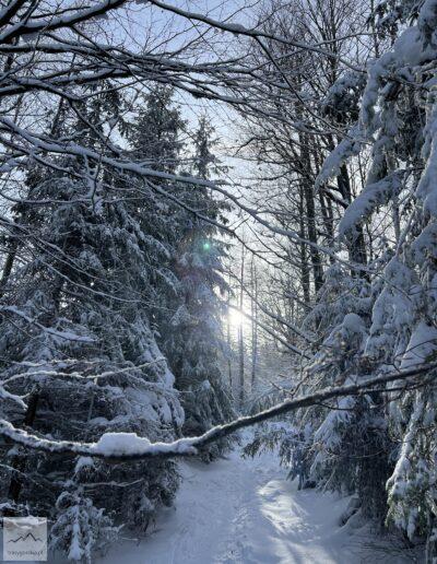 Karkonosze, niebieski szlak na Czarną Przełęcz w zimie