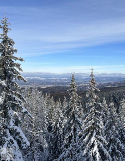 Karkonosze, niebieski szlak na Czarną Przełęcz w zimie, widok z tarasu widokowego pomiędzy Trzecią Drogą a Rozdrożem pod Śmielcem
