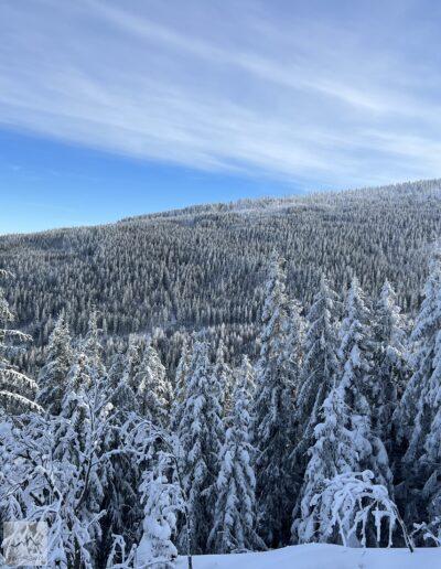 Karkonosze, niebieski szlak na Czarną Przełęcz w zimie, widok z tarasu widokowego pomiędzy Trzecią Drogą a Rozdrożem pod Śmielcem