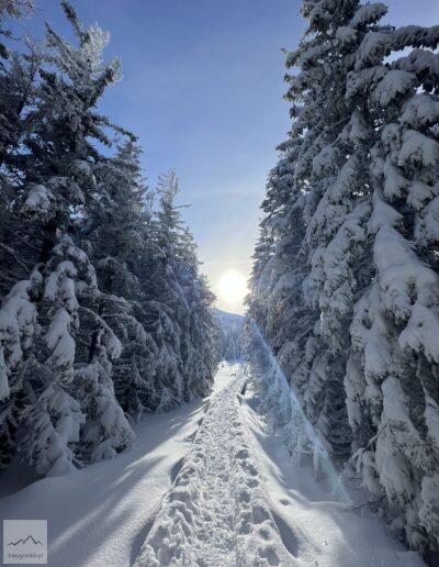 Karkonosze, niebieski szlak na Czarną Przełęcz w zimie