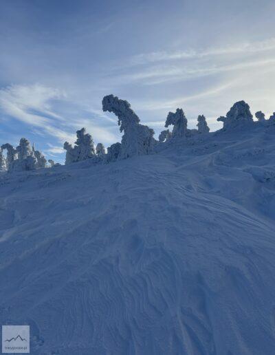Karkonosze, szczyt Czarnej Przełęczy, śnieżne bałwanki