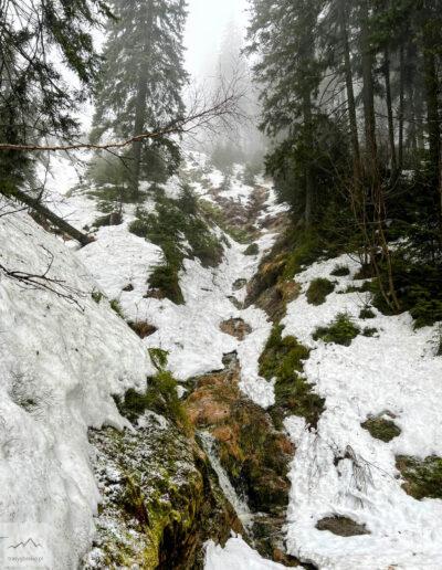 Karkonosze, Czarna Góra (Černá hora), szlak czerwony z Jańskich Łaźni), wodospad