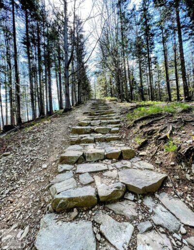 Beskid Żywiecki, początek szlaku na Babią Górę z Zawoi, kamienne schody (2)