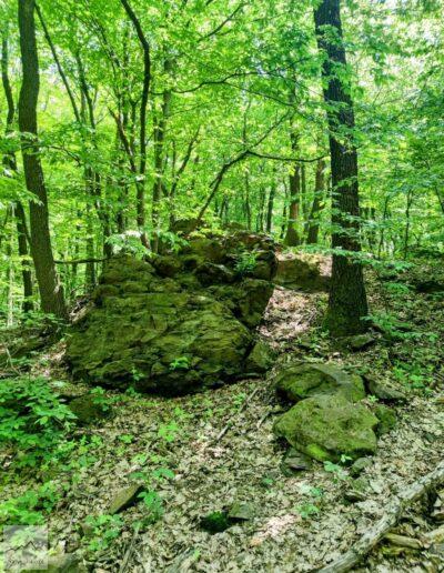 Pogórze Kaczawskie, Wąwóz Myśliborski, formacje skalne