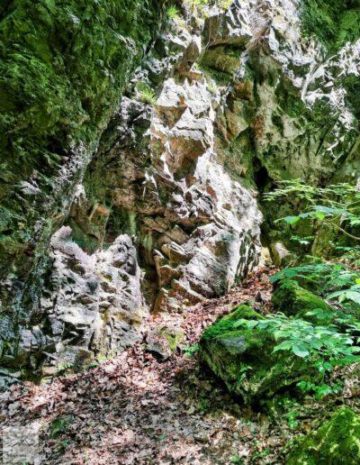Pogórze Kaczawskie, skały na ścianach Wąwozu Myśliborskiego