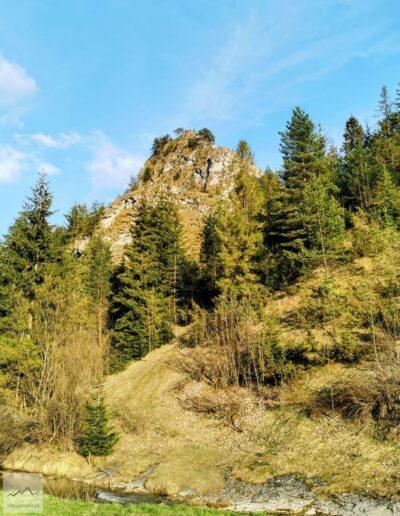 Beskid Sądecki, Smolegowa Skała, ze stanowiskami reliktowych gatunków roślin wysokogórskich występujących w Polsce w Tatrach