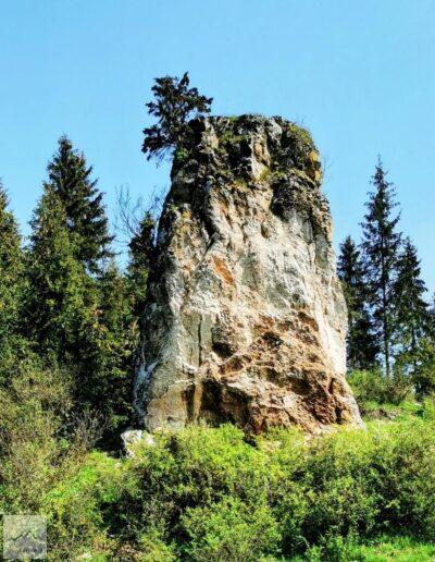 Pieniny, wejście na Żar, jedna ze skałek Pienińskiego Pasa Skałkowego, mająca kształt maczugi skała Gęśle, wchodząca w skład Dursztyńskich Skałek