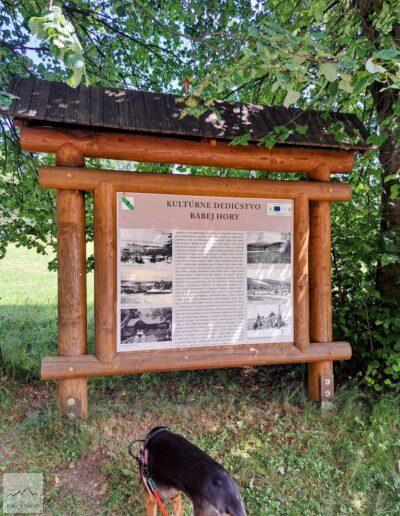 Beskid Żywiecki, Babia Góra z psem, przy Muzeum Babiej Góry