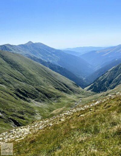 Góry Fogaraskie, szlak na Moldovaneu (11)
