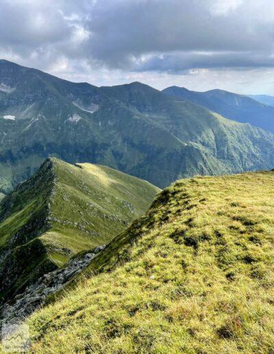 Góry Fogaraskie, szlak na Moldovaneu (18)